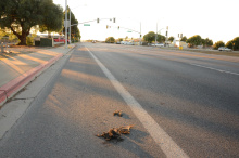 by Michael I Christie