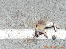 by Michael I Christie