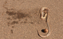 by Michael I Christie