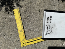 FAINT HIND FEET IMPRESSIONS